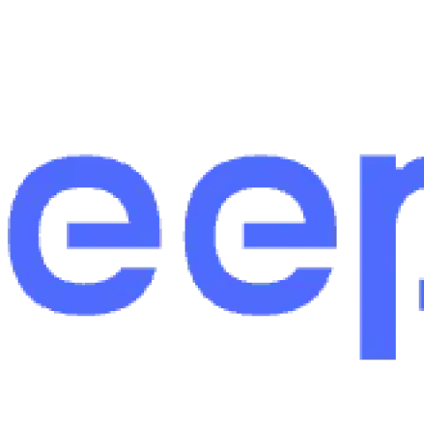 DeepSeek